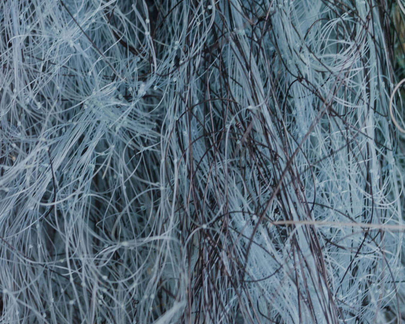 sustainability-econyl-1350x1080